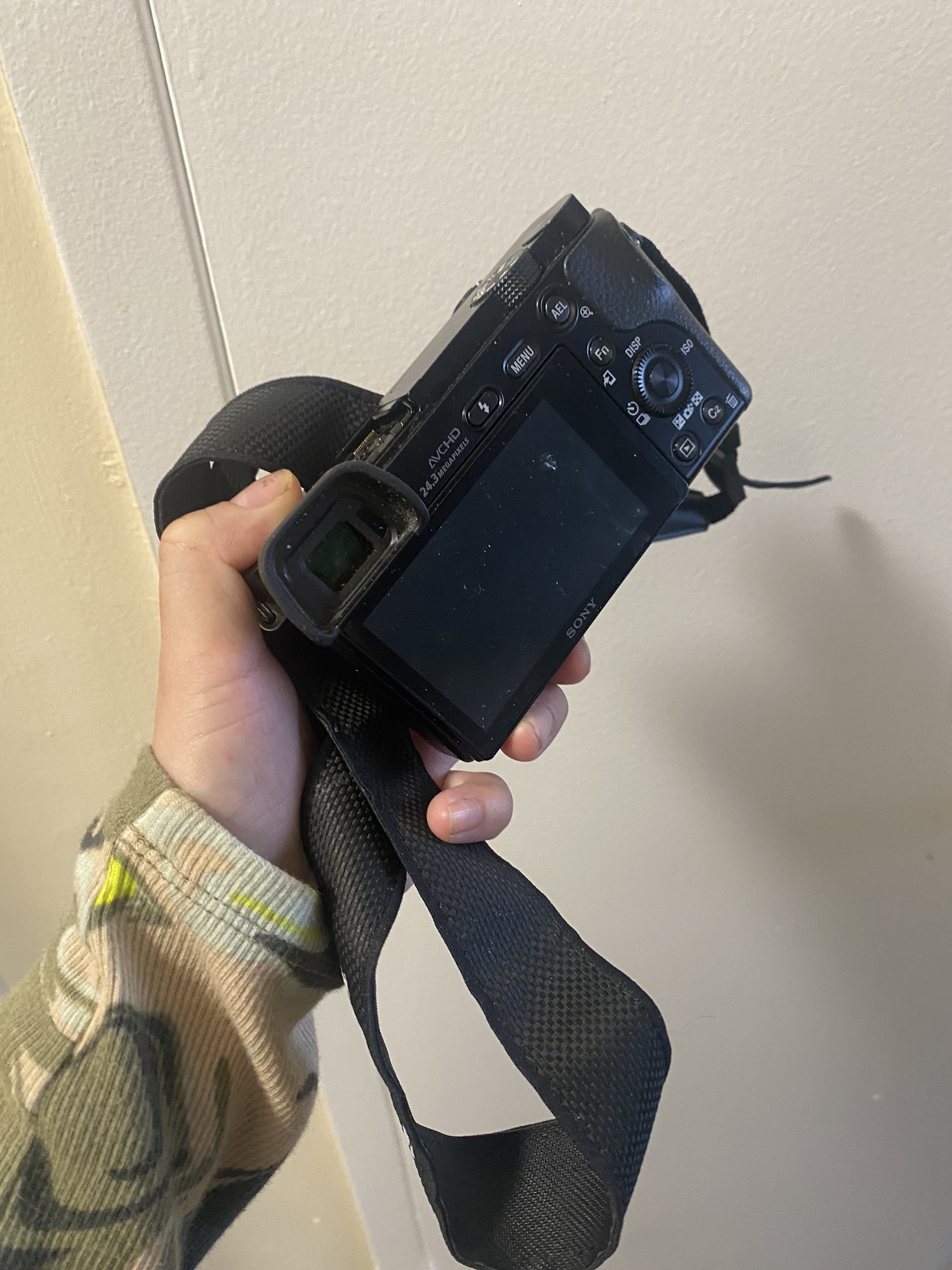 Sony A6000 image indicator(2)