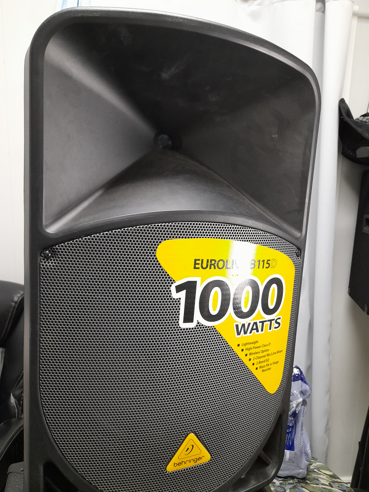 Behringer Eurolive B115D Speaker