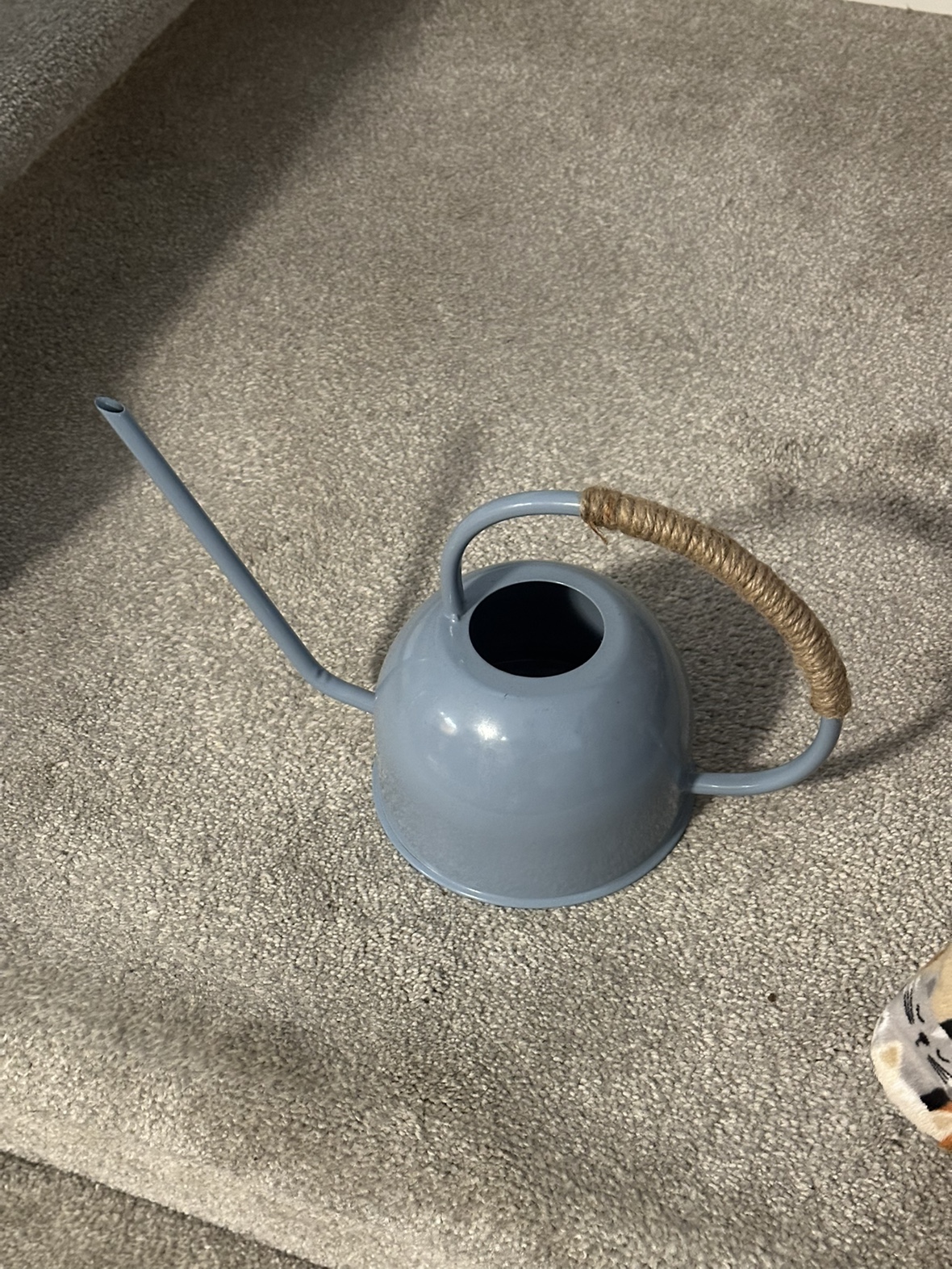 Blue Indoor Watering Can image indicator(2)