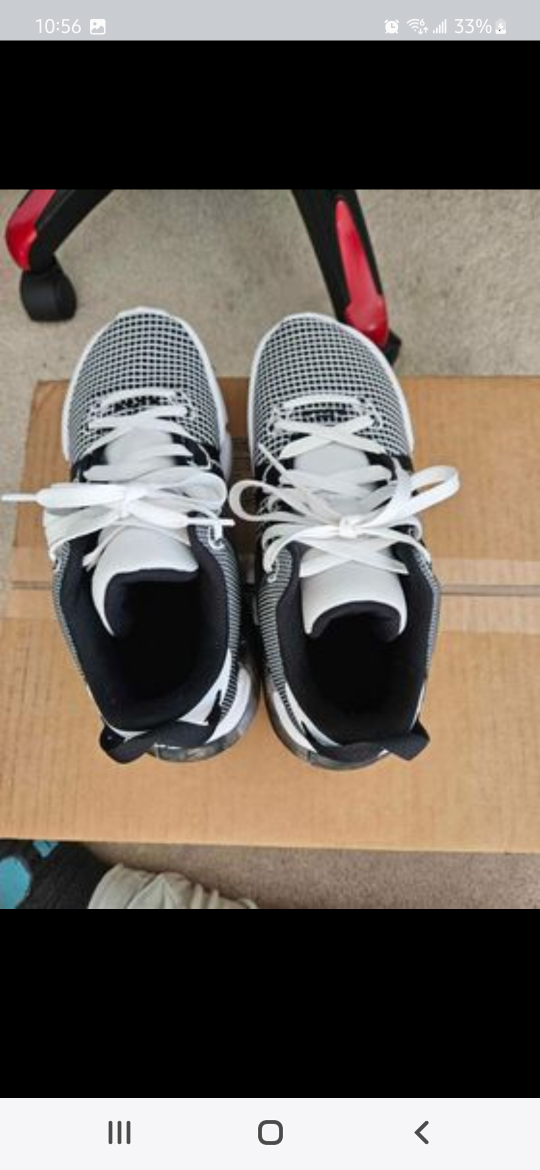 LeBron vii - photo 2