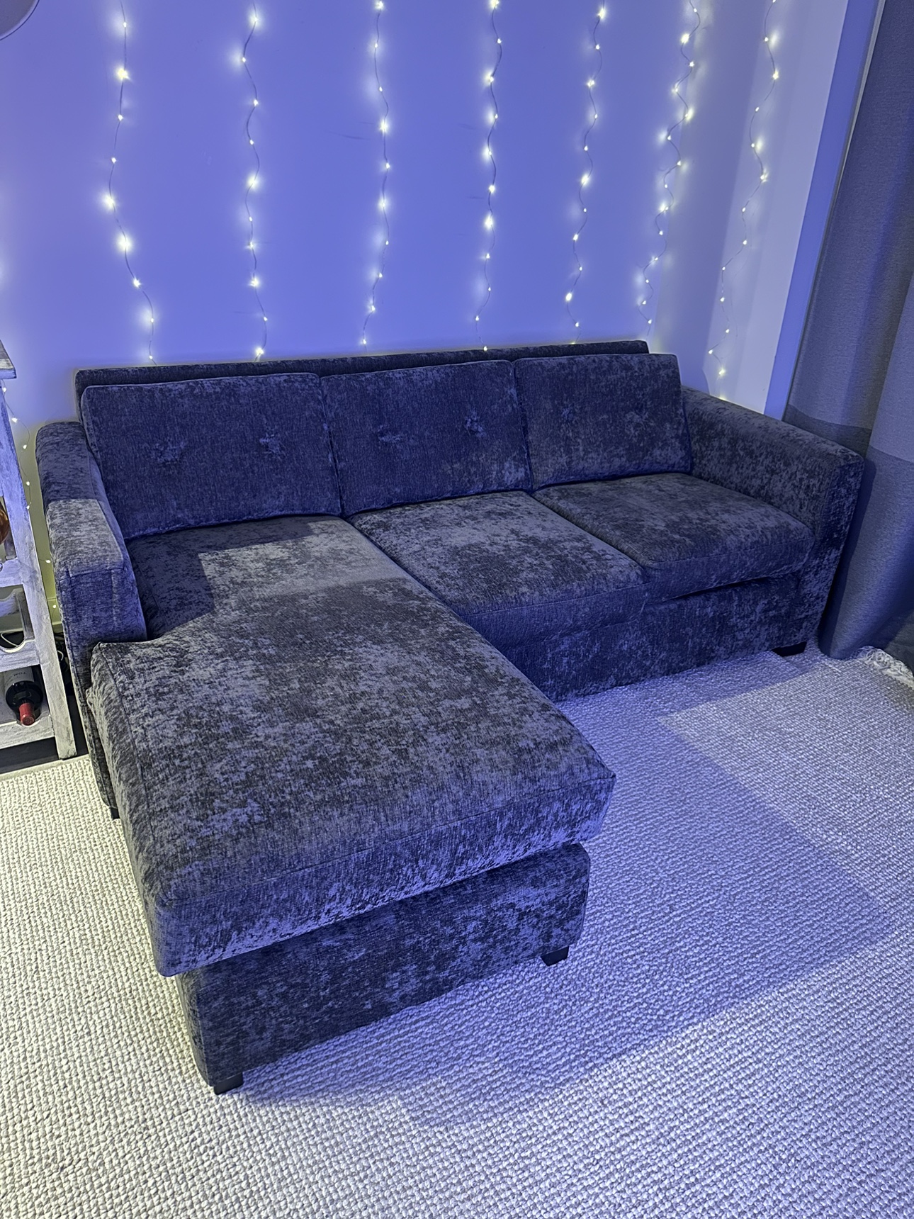 Couch Sectional Moving! - photo 3