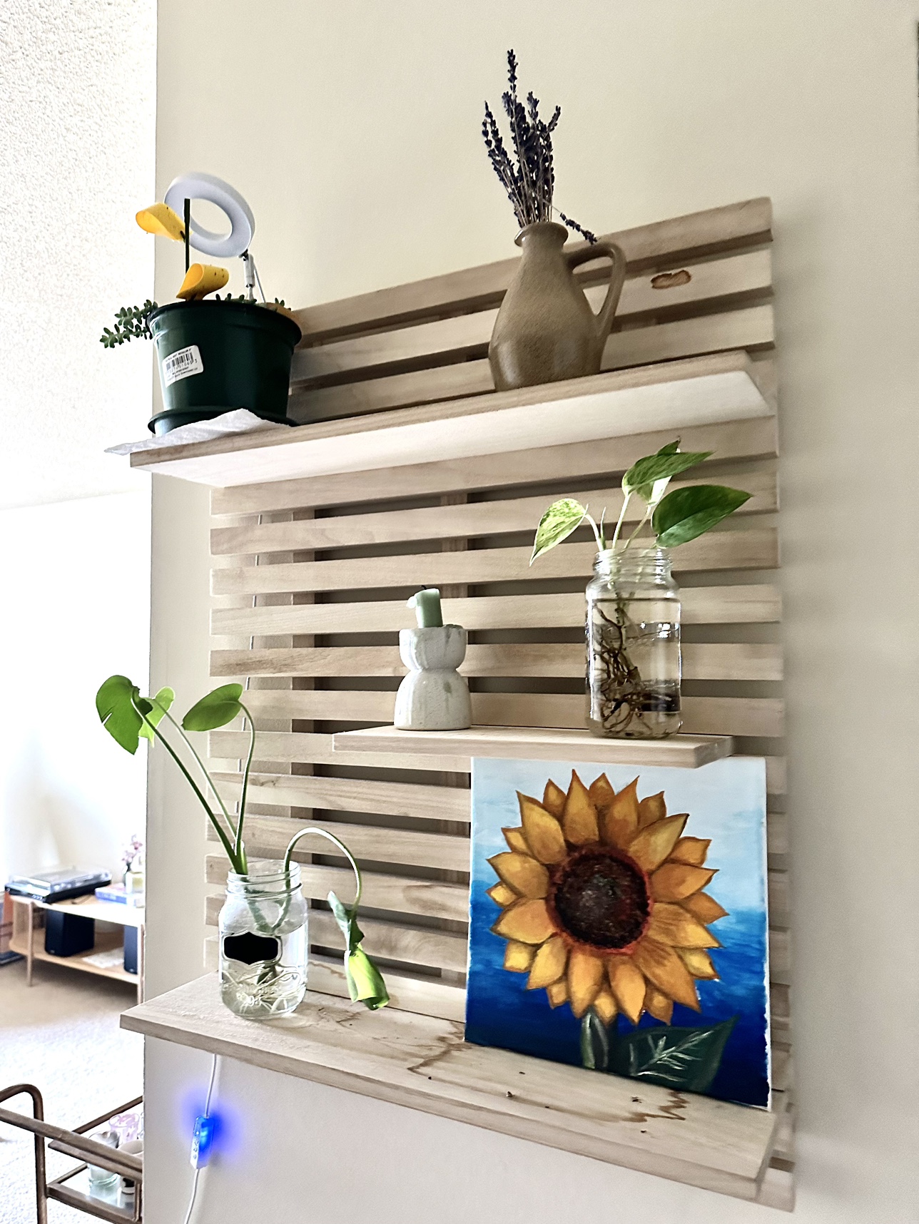 Plant Wall Shelf - photo 2