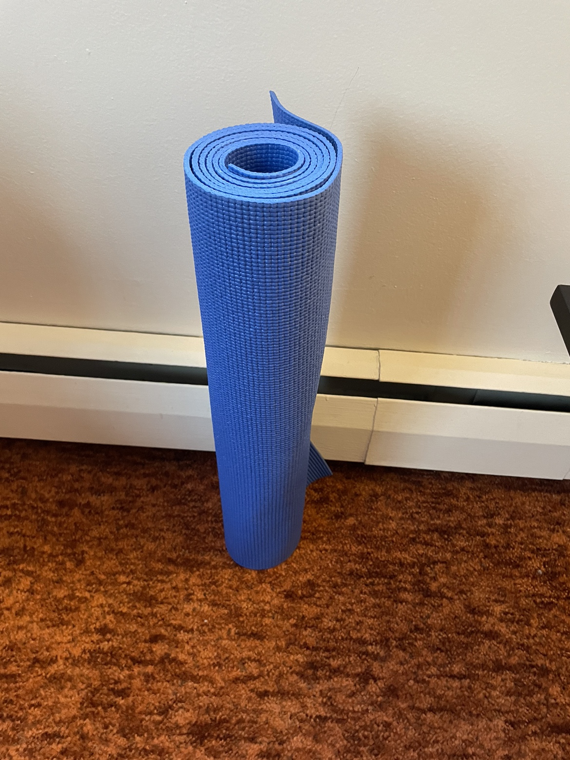Blue Yoga Mat - Rarely used