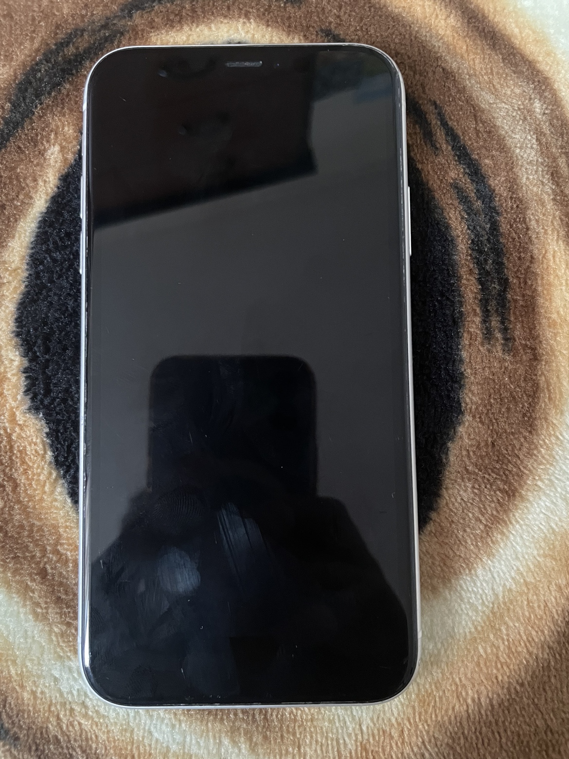 iPhone XR - photo 5