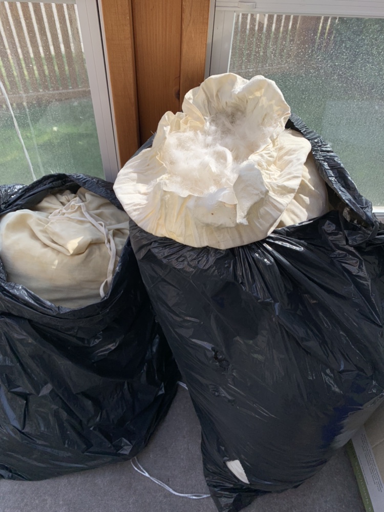 Down Feather Fill #freecycle - photo 2