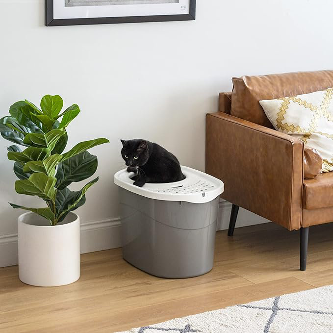 Tucker Murphy Pet Oval Top Entry Cat Litter Box with Scoop thumbnail