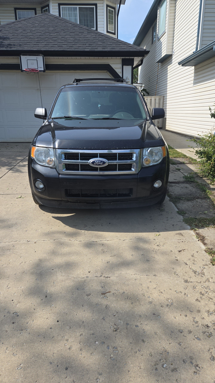 2011 ford escape xlt v6 all wheel drive
