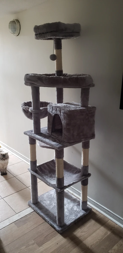 Tall Cat House