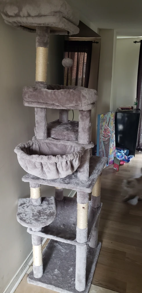 Tall Cat House - photo 2