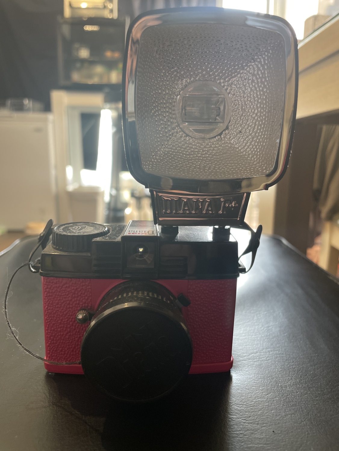 Mini Diana Retro Camera(Last Price) image indicator(2)