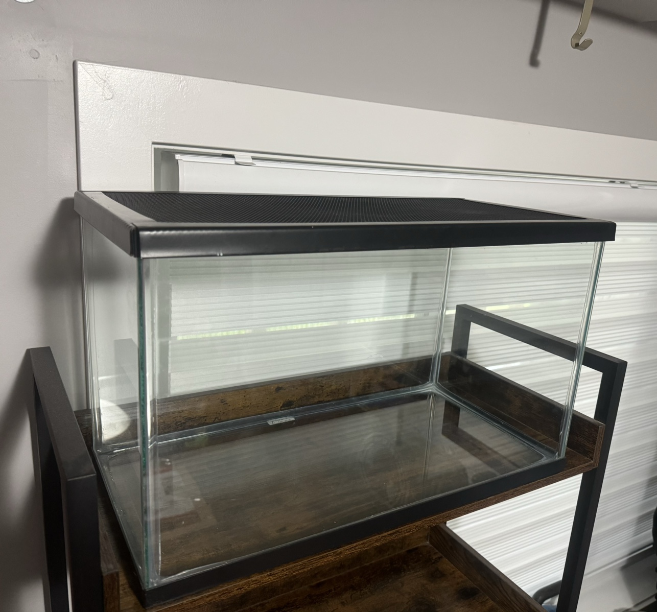 10 Gallon Reptile Tank thumbnail