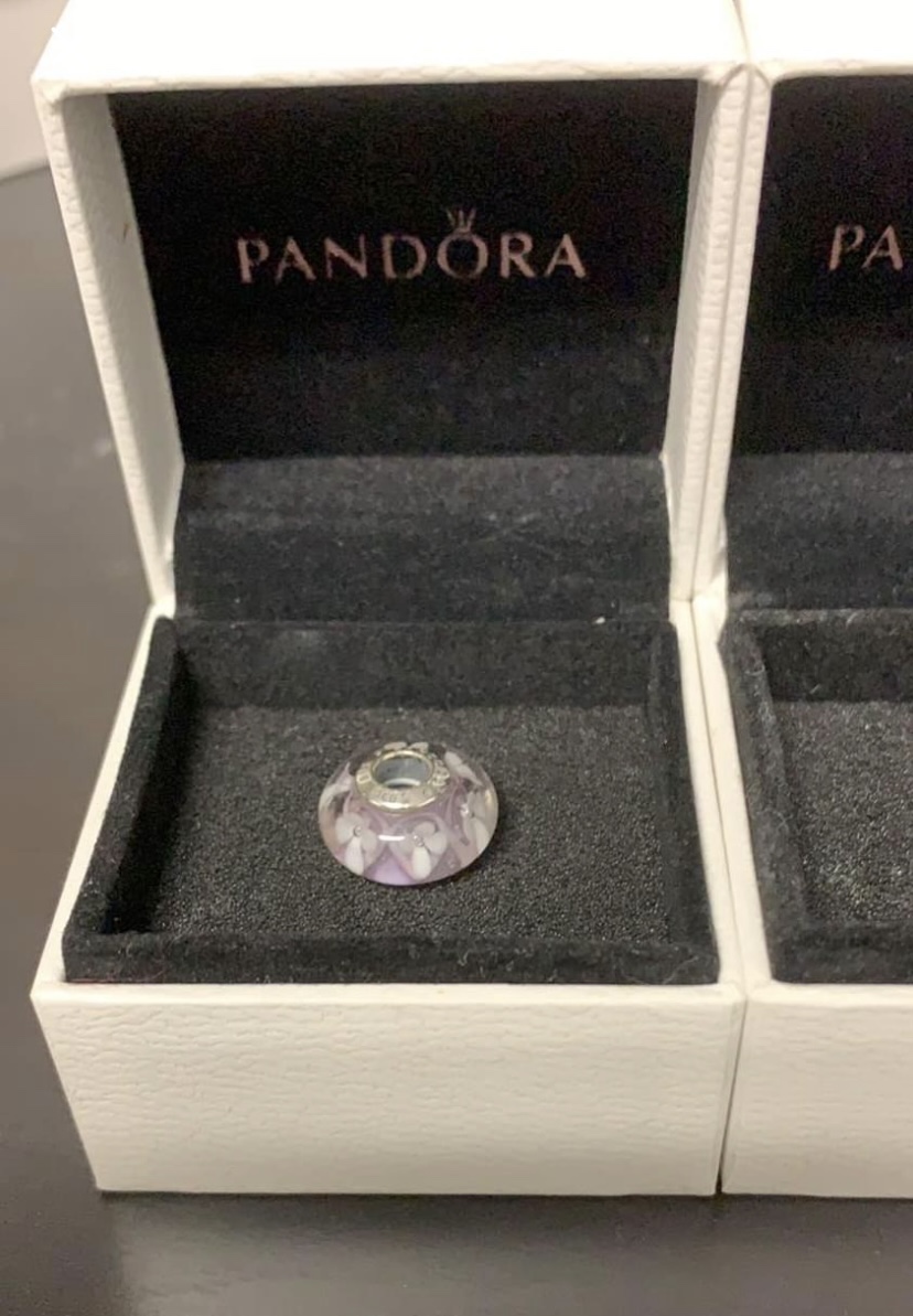 Pandora Charms . Jewelry. sterling silver image indicator(2)