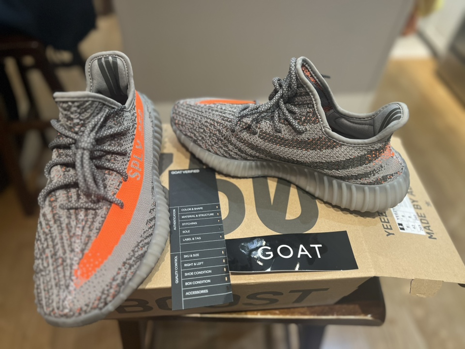 BN Adidas Yeezy Boost 350 V2 image indicator(2)