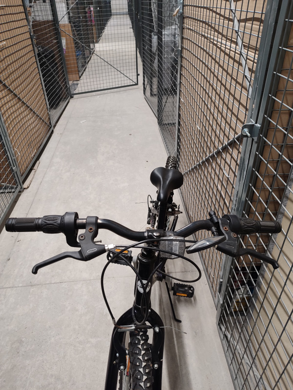 Next Challenger Bike - photo 2