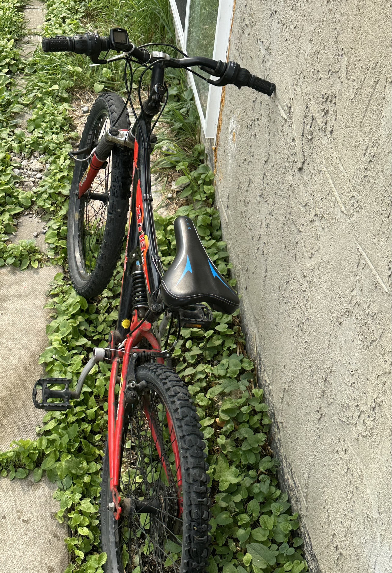 Bike for sale - photo 4
