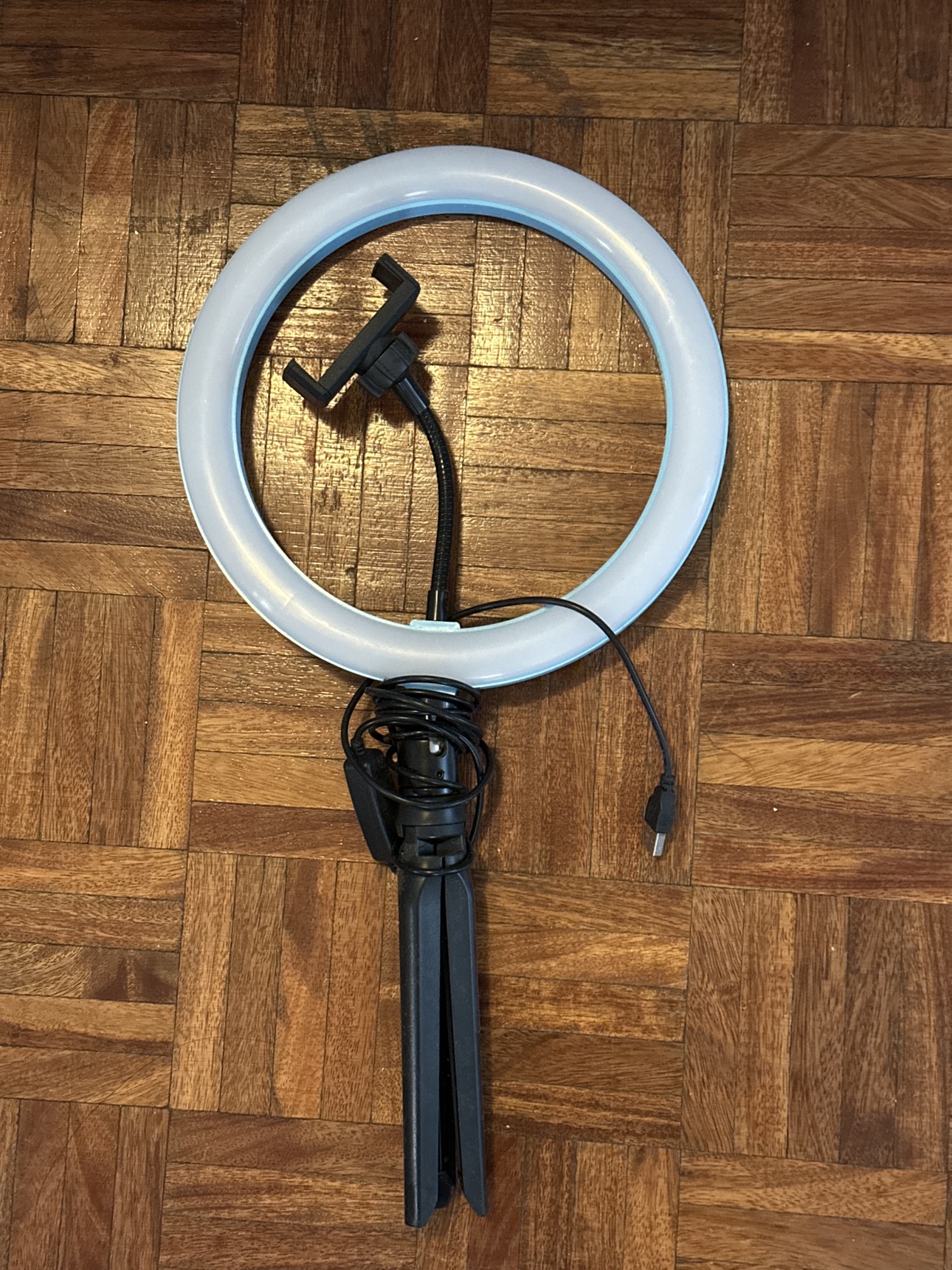 Ring light with stand
