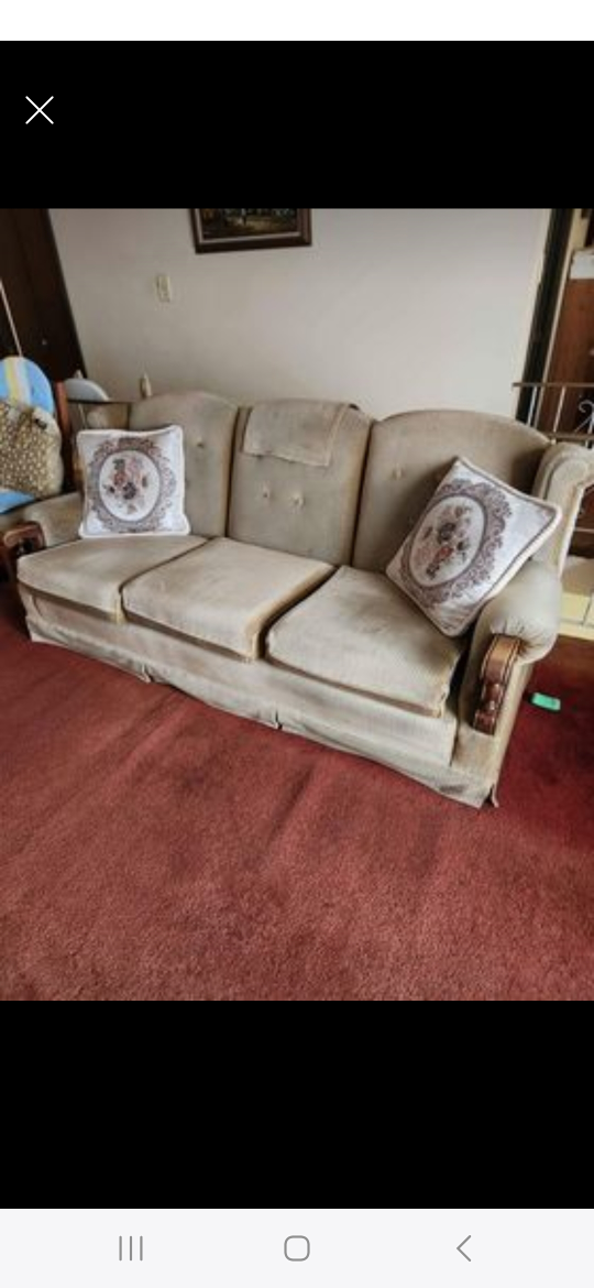 plush comfortable Sofa