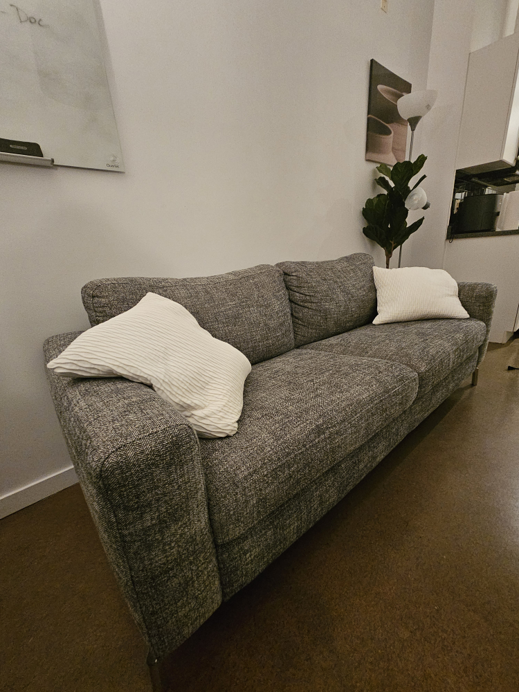 Luxurious Couch for Sale!