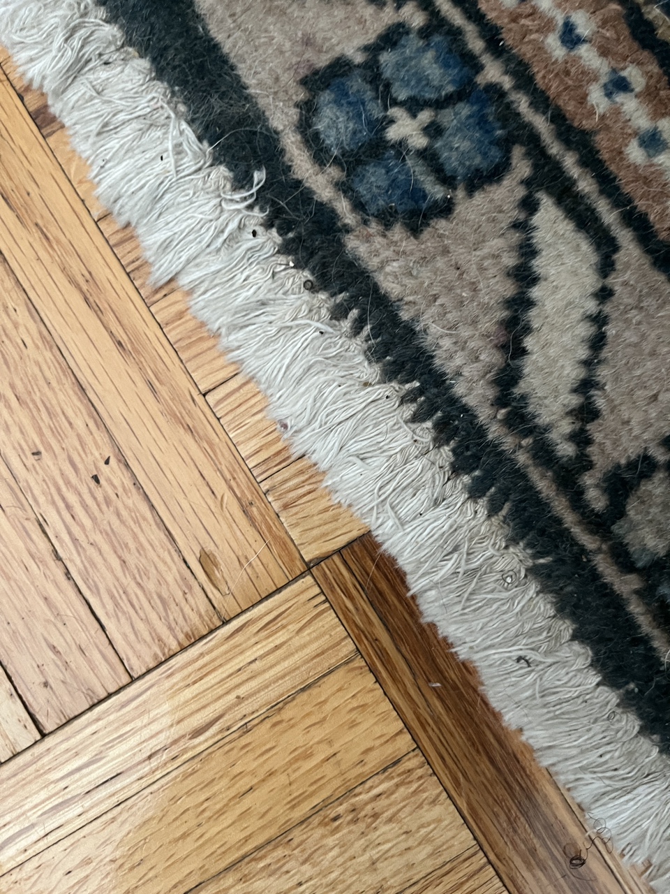 vintage persian rug image indicator(2)