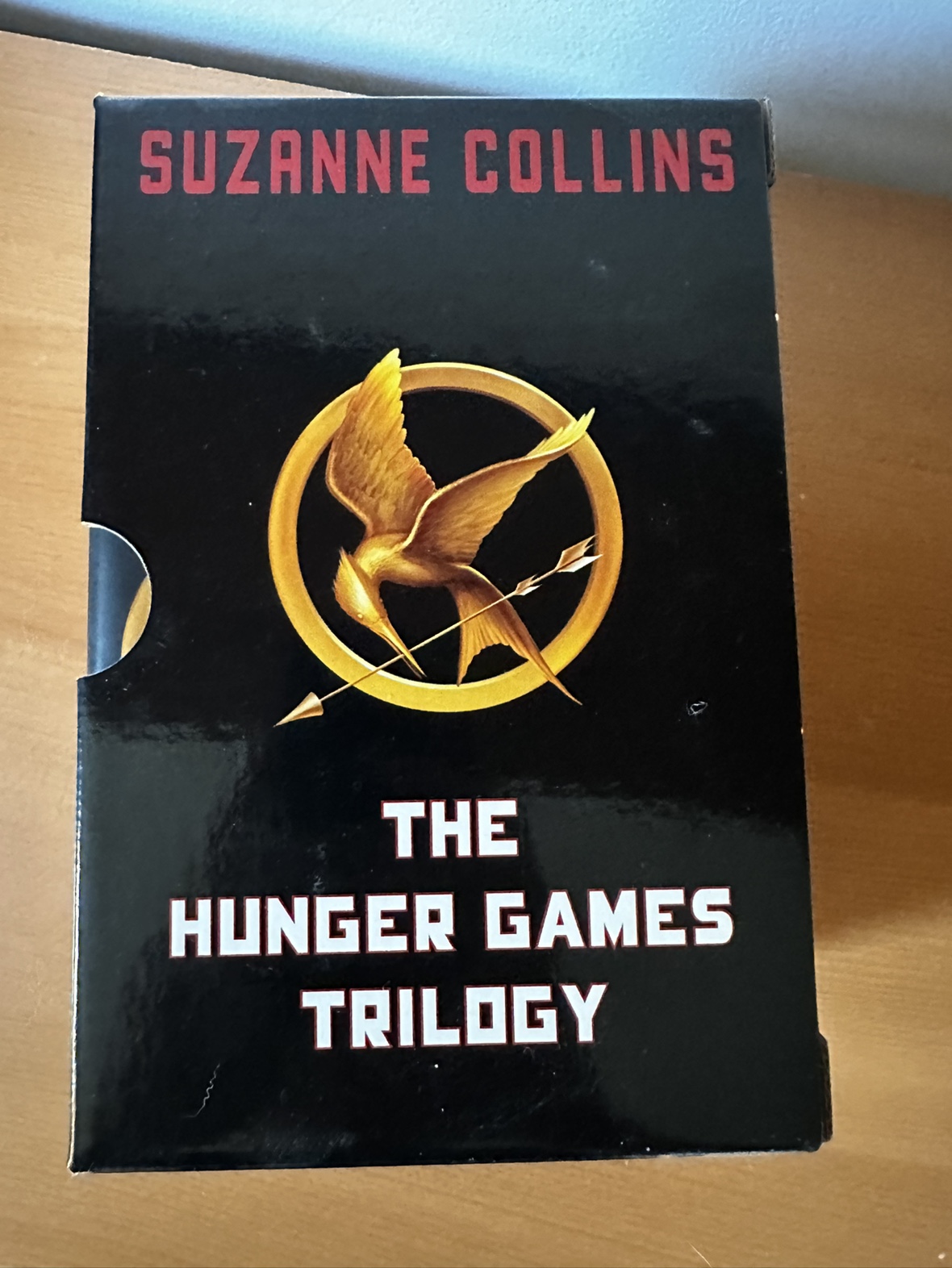 Hunger Games Trilogy - photo 3