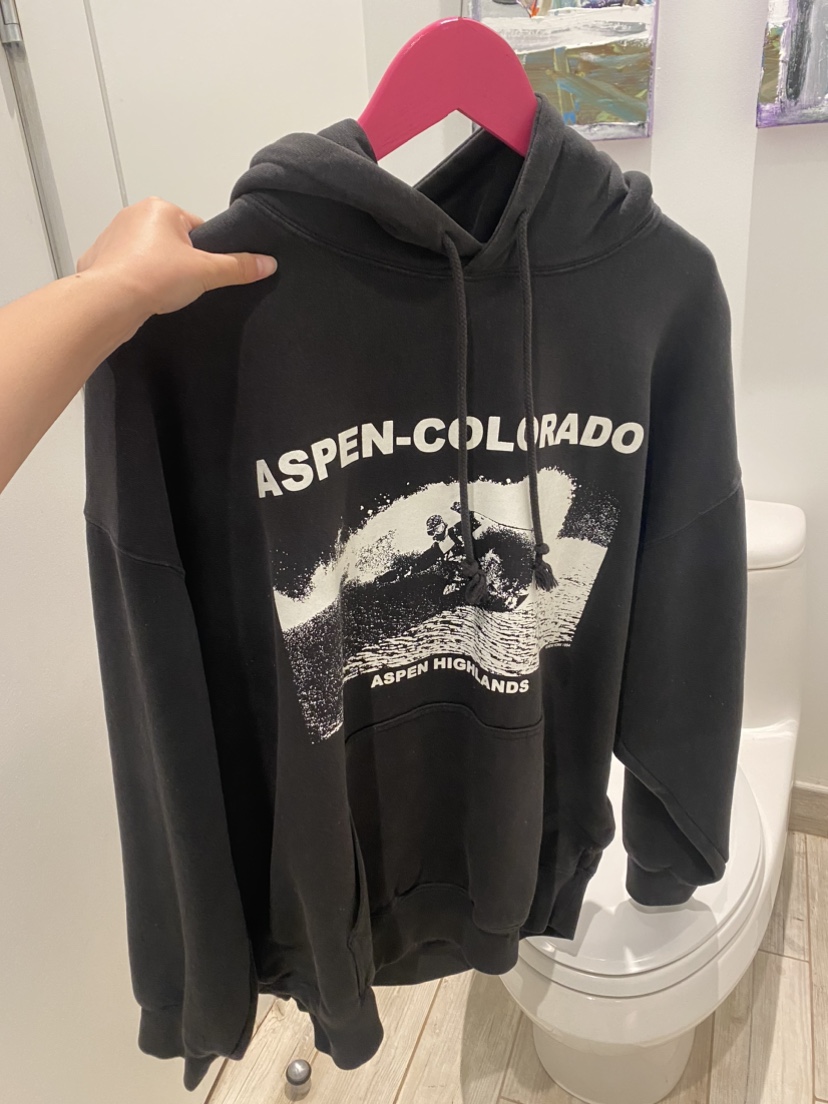 Brandy Melville hoodie image indicator(2)