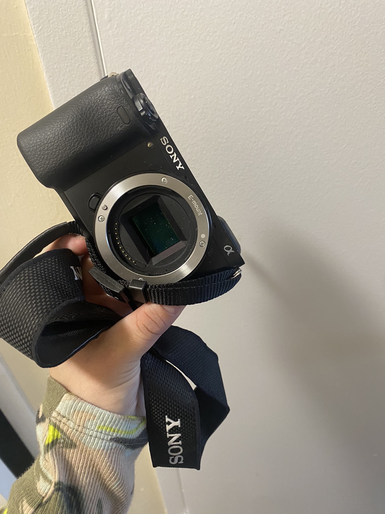 Sony A6000 thumbnail