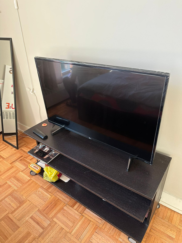 LG 43" Smart TV