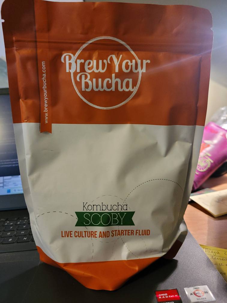 Brew Your Bucha Kombucha SCOBY