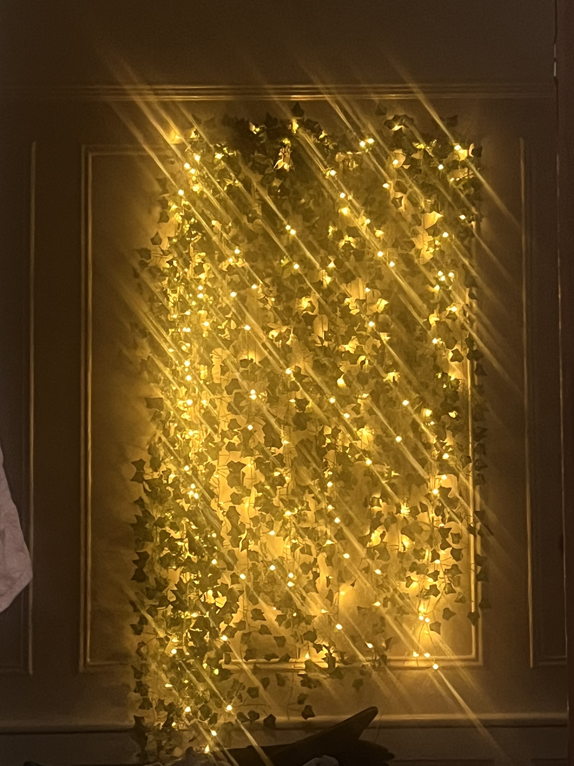Leaves and lights