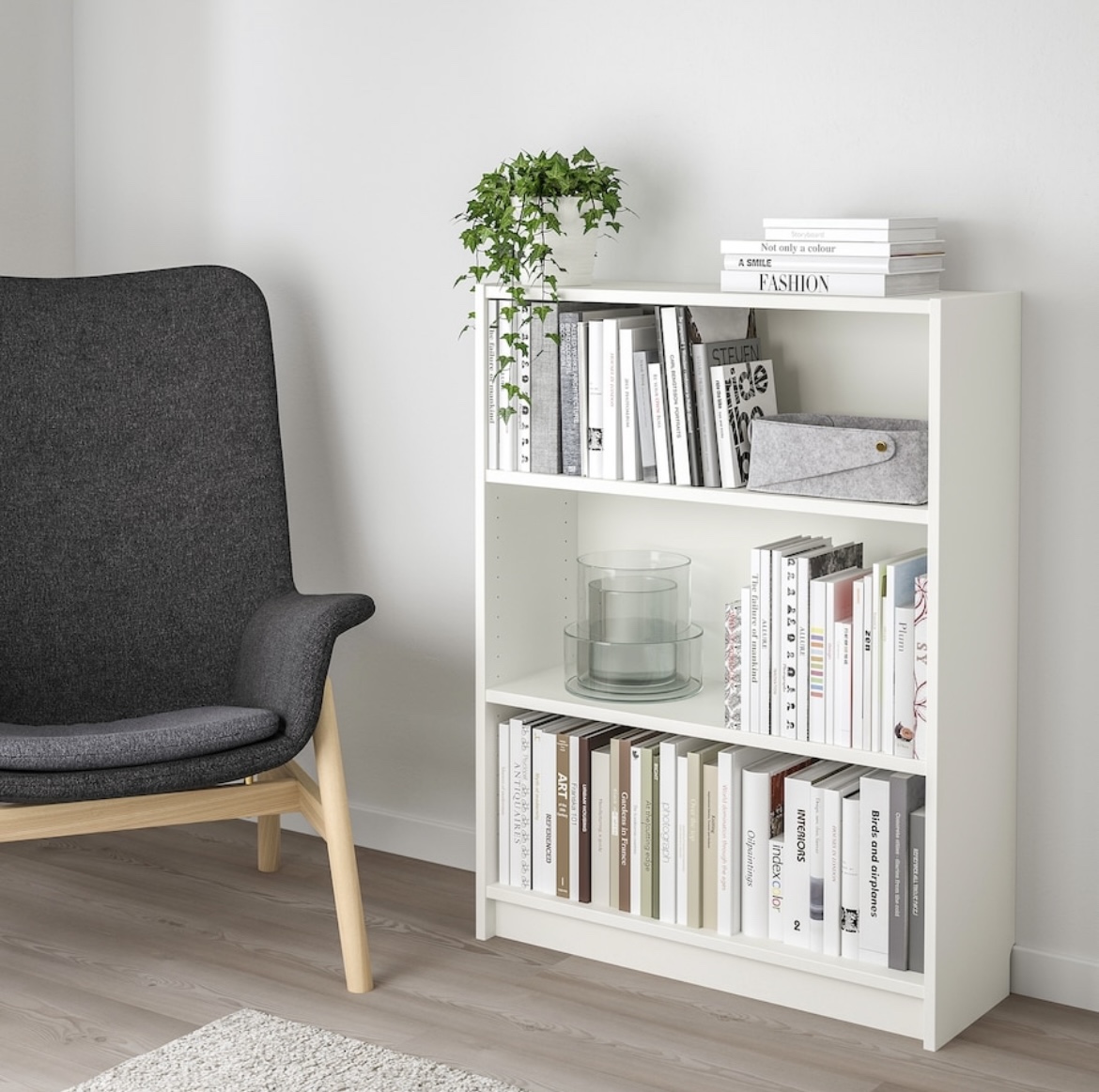 Ikea Billy Bookcase