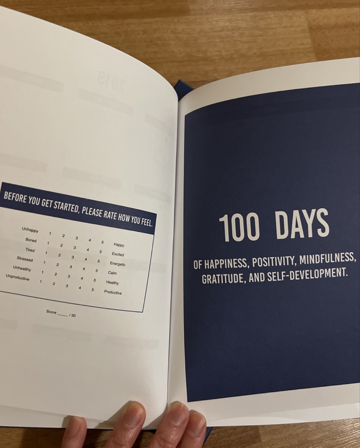 #Freecycle Free Happiness planner hardcover {never used} image indicator(2)