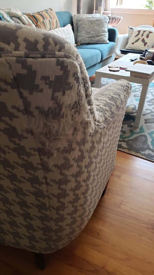 Armchair and Ottoman Set - photo 3
