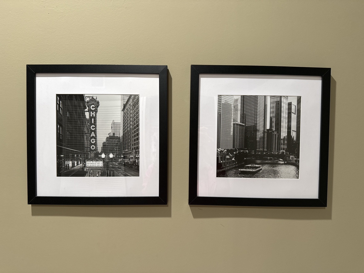 Chicago Black and White Framed Art Prints