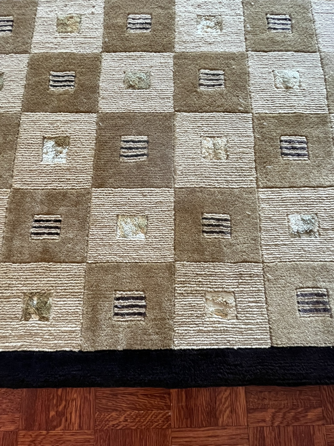 Large Wool and Silk Area Rug image indicator(2)