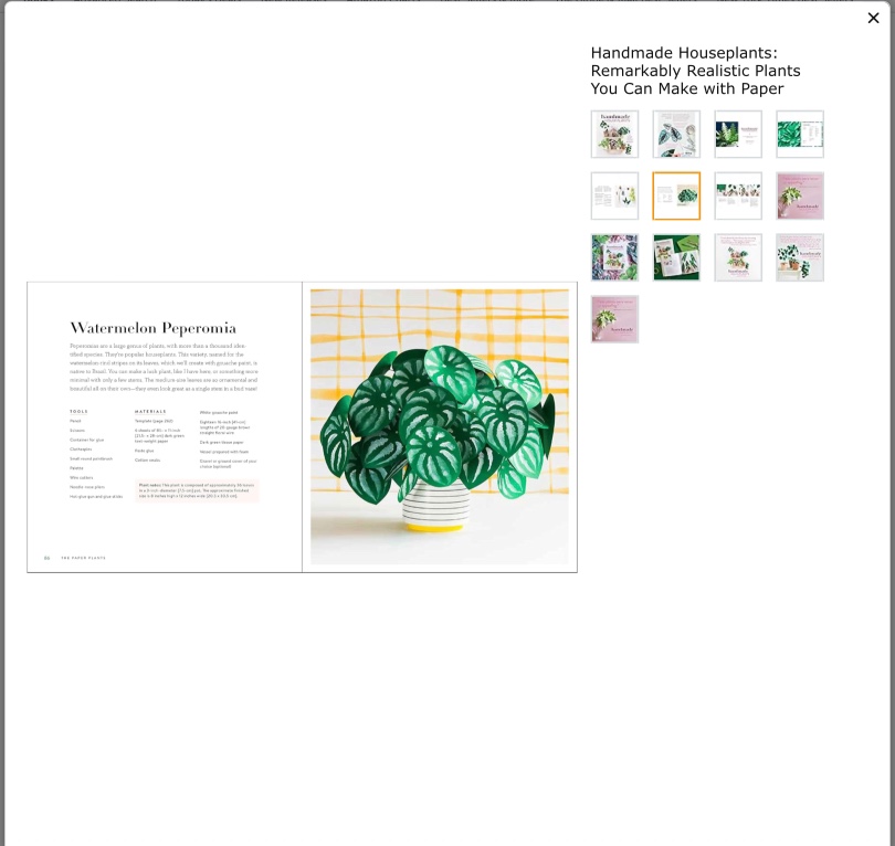 Handmade Houseplants Book image indicator(8)