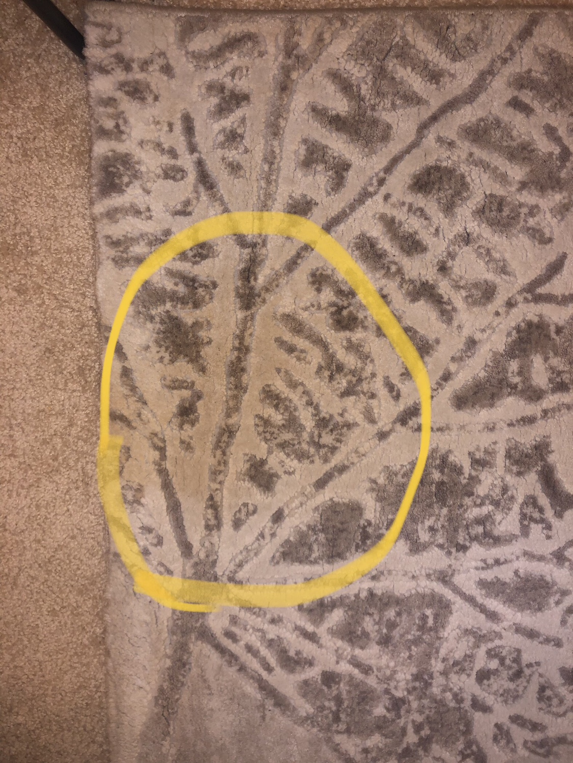 5x7 Area Rug - photo 3