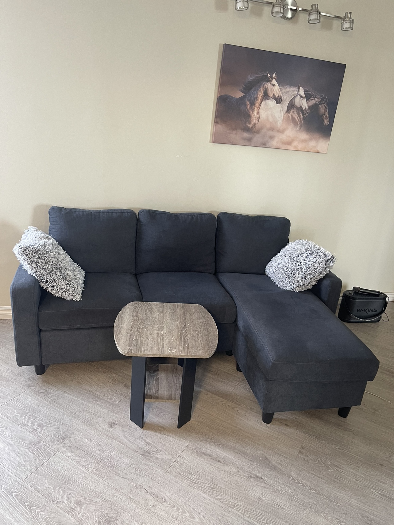 Couch With Table