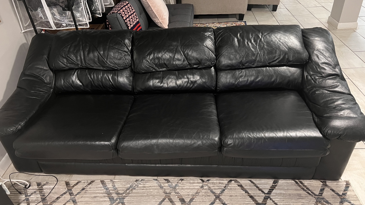 Leather Queen Sleeper Couch