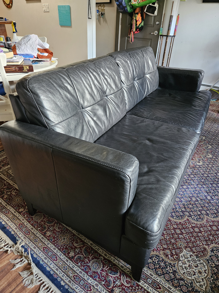 free Black leather couch