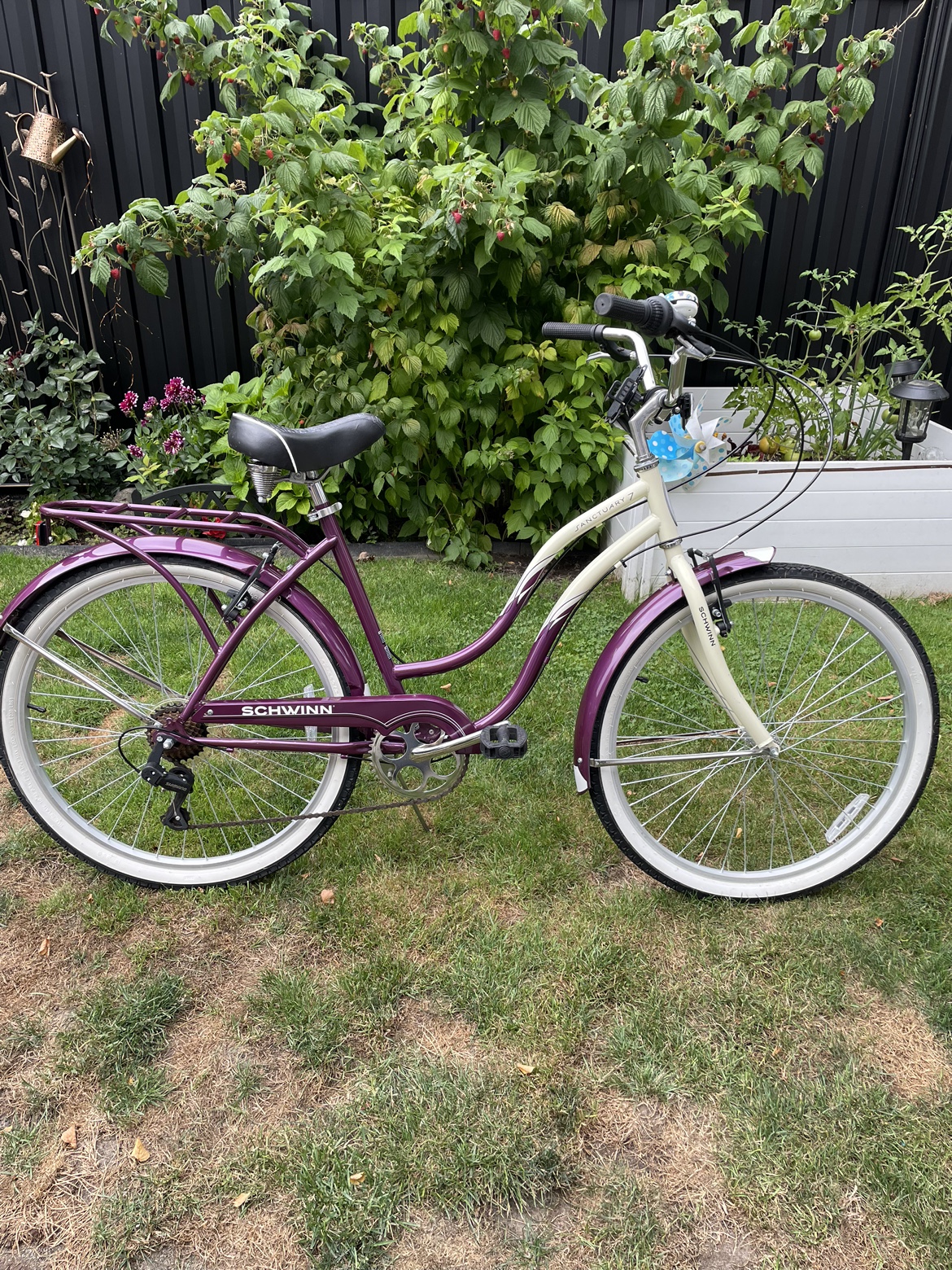 Ladies Schwinn bike