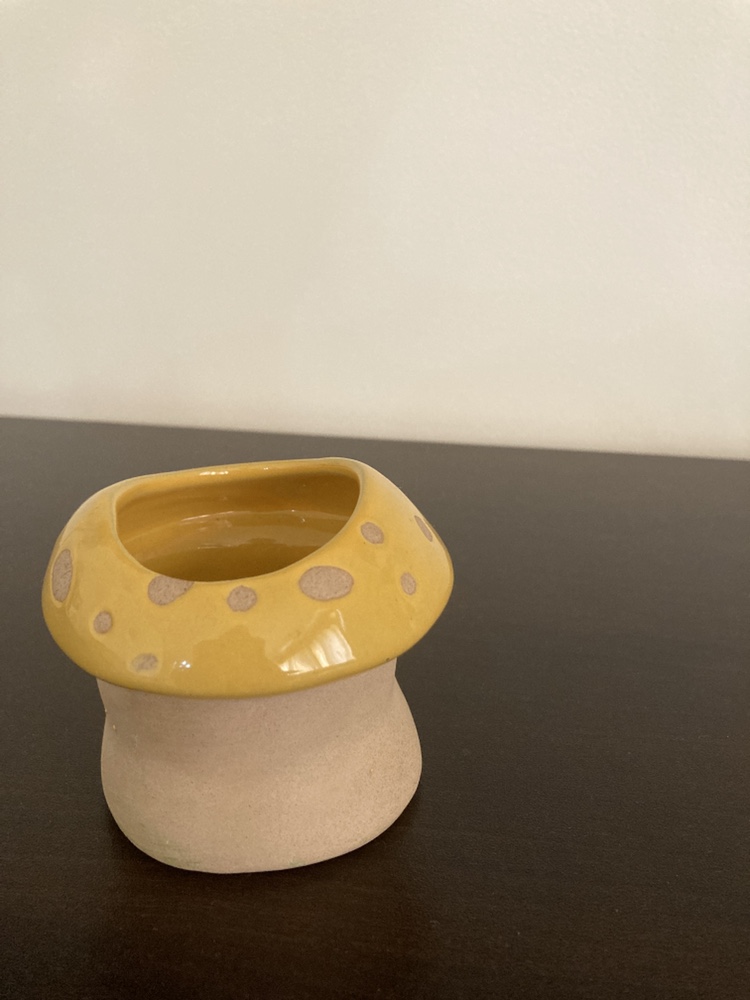 Succulent plant pot - photo 3
