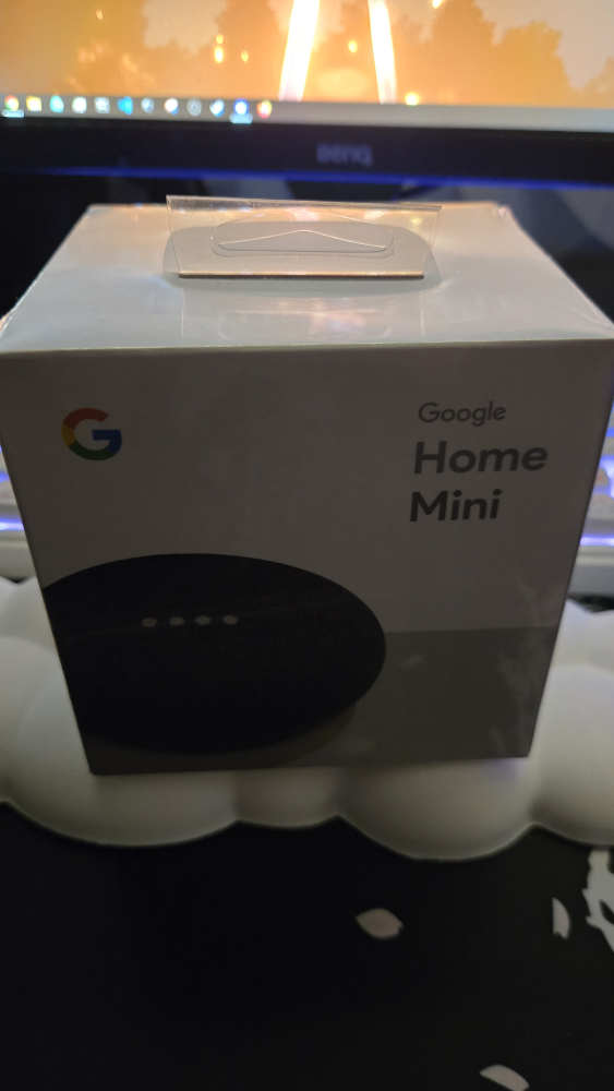 Google Home Mini (Charcoal)