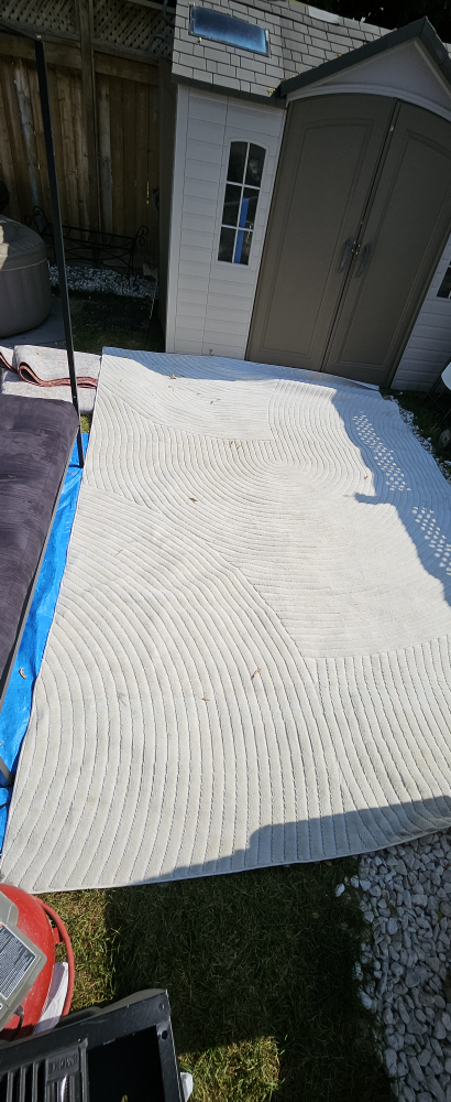 White Rug thumbnail