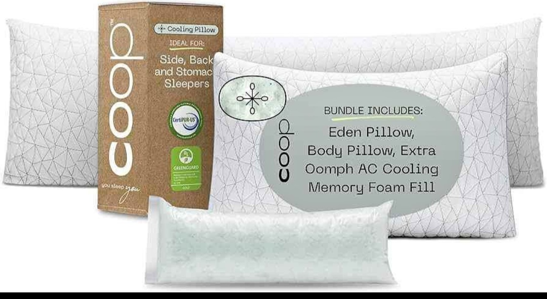 Coop Home Goods Eden King Sized Pillow - photo 5