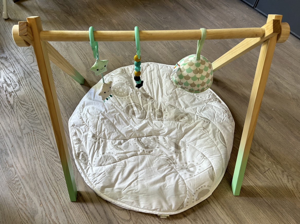 Baby Wooden Play Gym