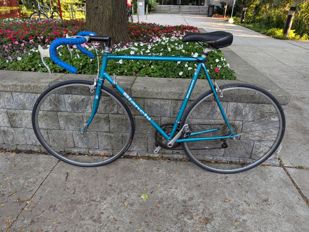 Bianchi Road Bike - Vintage Campione del Mondo 1986-87 Edition image indicator(9)