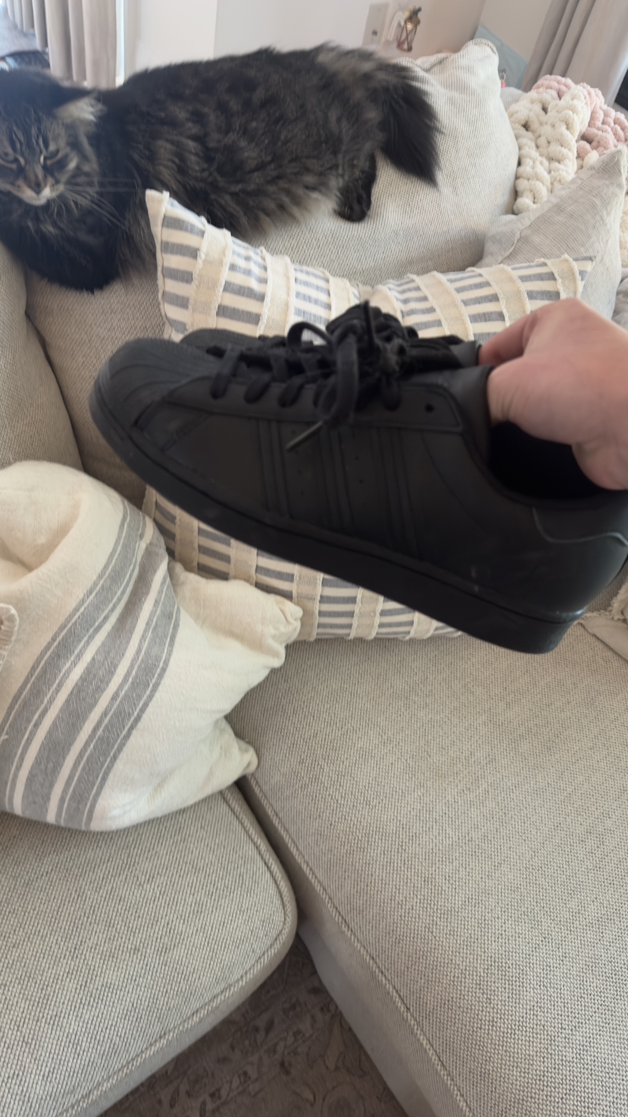 Adidas superstar size 7.5 US thumbnail