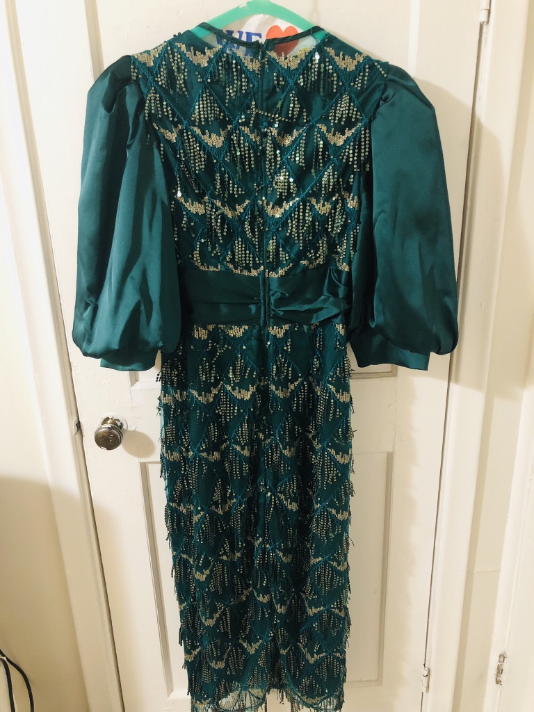 Green Sequin Dress image indicator(3)