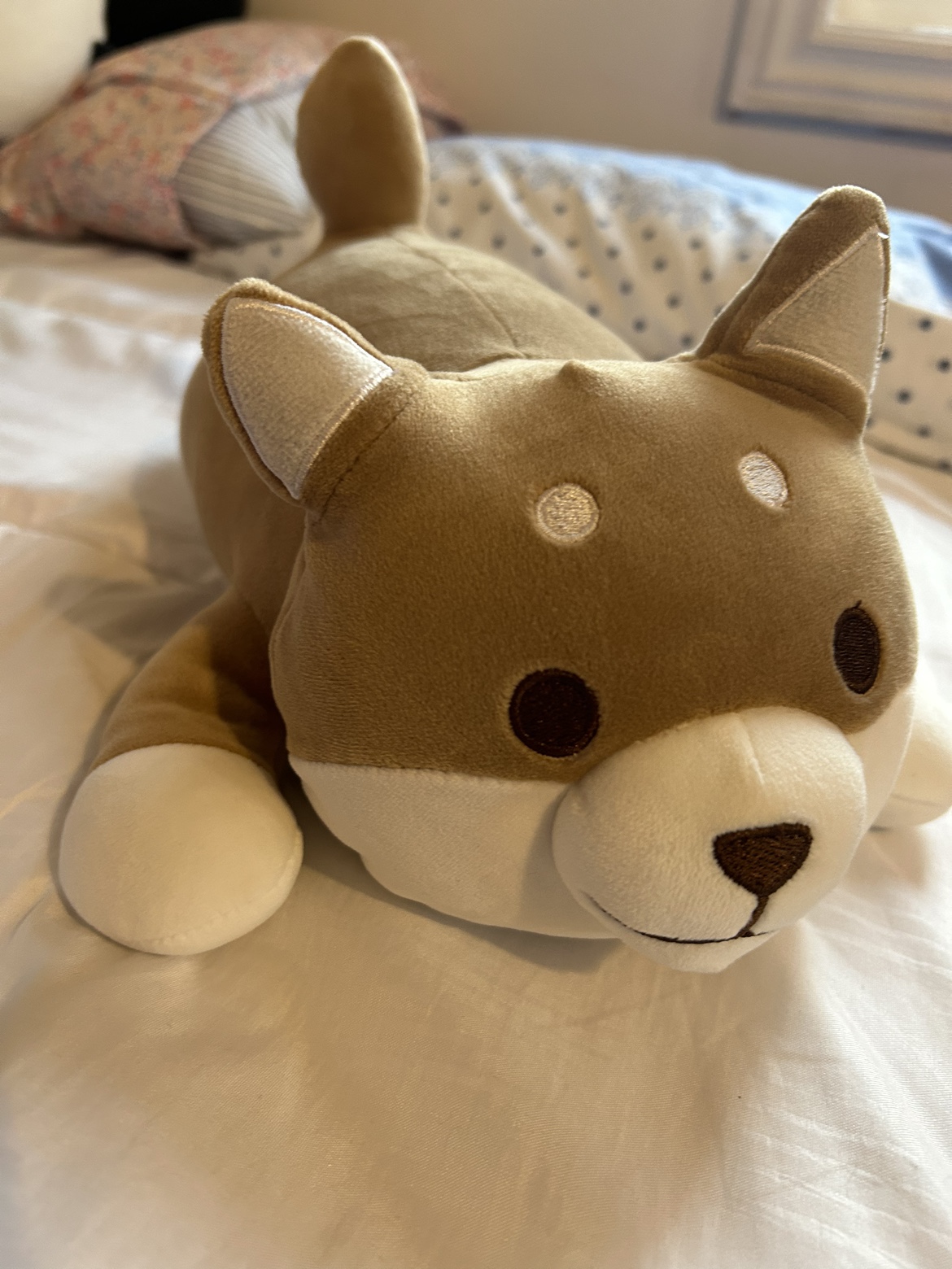 Plushies miniso