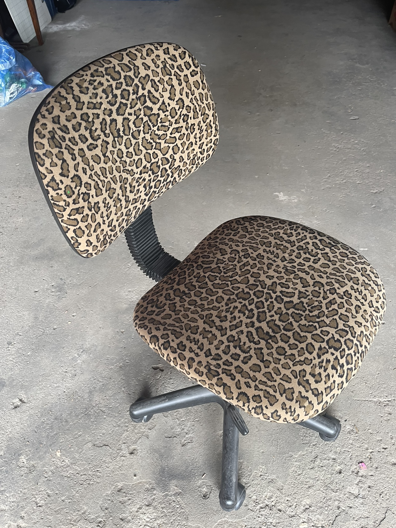 Cheetah Print Chair - photo 5